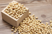U.S. soybean futures rise on anticipation of more sales to China