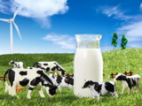 Chinese listed dairy firms actively join campaign to revitalize dairy industry  