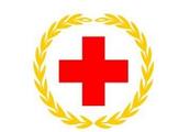China's Red Cross, firms assist emergency relief work in Indonesia's quake, tsunami-affected areas 