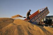 China secures good grain harvest this year: minister