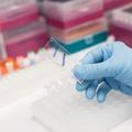 Lepu Medical to inject USD12.5 mln into American company Rgenix 