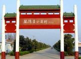 40 years on, Xiaogang still testbed of China's rural reform 