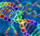 Int'l alliance on biodiversity, health big data set up in Beijing