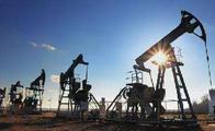 B&R energy cooperation yields fruitfully, NDRC official