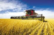 China reaping harvest of agricultural R&D