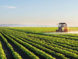 China mulls 2nd draft revision on rural land contract law 