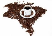 Feature: Brazilian coffee to reach China thanks to Shanghai expo