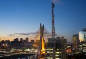 Sao Paulo's business delegation ready to go to Shanghai CIIE 