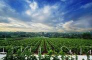 China, Ukraine seek deeper cooperation on agriculture, infrastructure and energy 