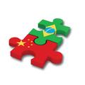 Singles' Day fuels Sino-Brazil cooperation in e-commerce