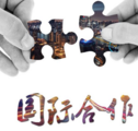 Five more Sino-foreign frendship cities, provinces inked