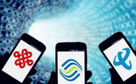 China's telecom industry revenue growth slows to tow-year low in Jan.-Oct. 