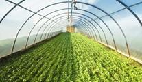 China's farm produce prices drop slightly 