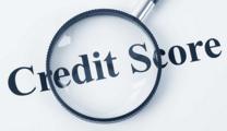 Nation building credit info system