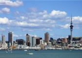Overseas roadshow for 2nd CIIE kicks off in New Zealand  