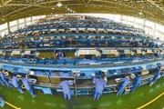 Anhui releases plan boosting dev. of local private economy