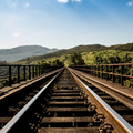 Fence built along China-Laos railway to protect wild elephants 