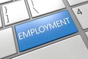 Beijing courts pledge to fight dishonesty in workplace