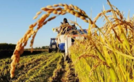 China encourages mechanized agriculture with new measures
