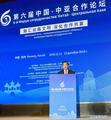 Senior Chinese official calls for deeper cooperation with Central Asia