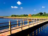 Floating bridge put into use on China-Russia border 