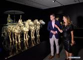 China's Terracotta Warriors exhibition kicks off in New Zealand 