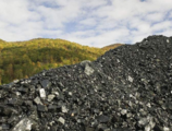 China's raw coal output remains stable in November
