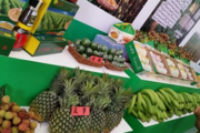 Record amount of deals signed at Hainan agricultural fair