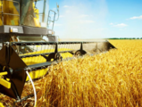 China secures another year of bumper harvest