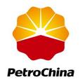 PetroChina makes breakthroughs in risk exploration in Sichuan, Xinjiang  