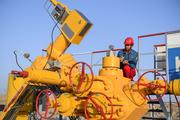 Xinjiang oilfield closed to protect endangered animals