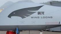 China exports 100 unmanned aircraft Wing Loong