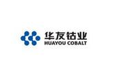 Chinese cobalt firm to build 30,000-t electro-deposit copper mill in Africa