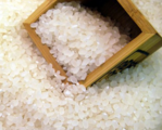 China allows U.S. rice imports