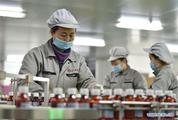 China's manufacturing PMI edges down in December