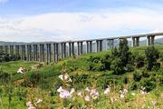 High altitude expressway opens to traffic in SW China 