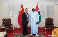 Gambia has strong political will to advance cooperation with China: president 