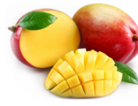 Northern Australia launches initiative to boost mango exports to China