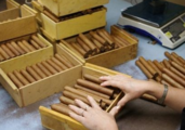 Interview: Cuban cigar maker eyes growing market in China