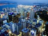 New Zealand dairy company gets renewed China exports license on rising demand 