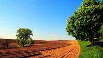 Laos, Chinese firm cooperating in clean agriculture 