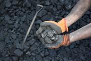 China's raw coal output up 5.2 pct in 2018