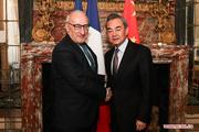 China, France ready to steadily boost ties: Chinese FM 