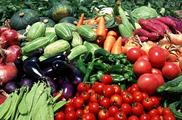 China grants farm markets tax preferences 