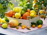 China to expand marketing channels of farm produce from poor areas 