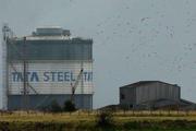 HBIS agrees to buy 70 pct of Tata's Southeast Asian steel projects: newspaper 