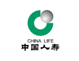 China Life expects less profit in 2018 over equity market slumps