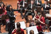 Suzhou Chinese Orchestra presents concert in Budapest