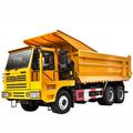 China's heavy truck sales remain robust in January