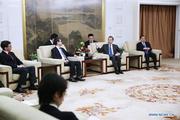 Chinese state councilor meets senior Japanese diplomat 